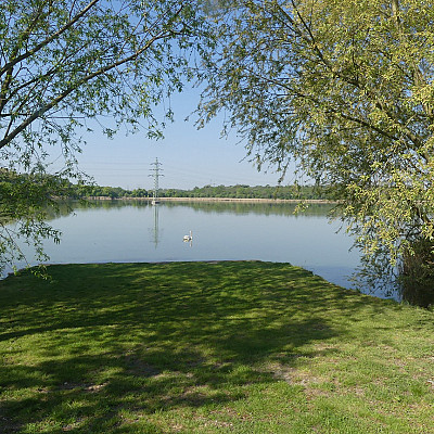 Molo 3 B