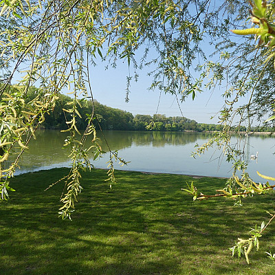 Molo 3 C
