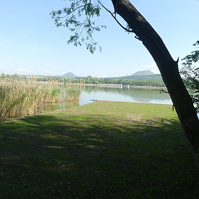 Molo 10 B