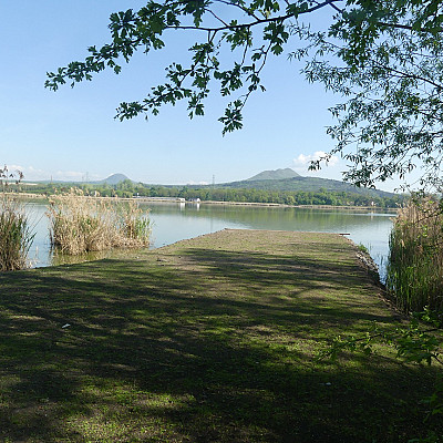 Molo 12 C
